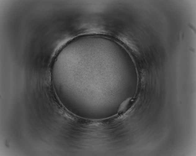 X0000093481358200710121437