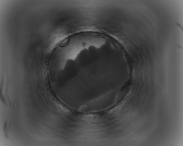 X0000093481359200710121437