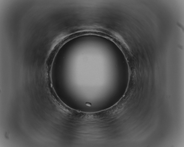 X0000093481360200710121437