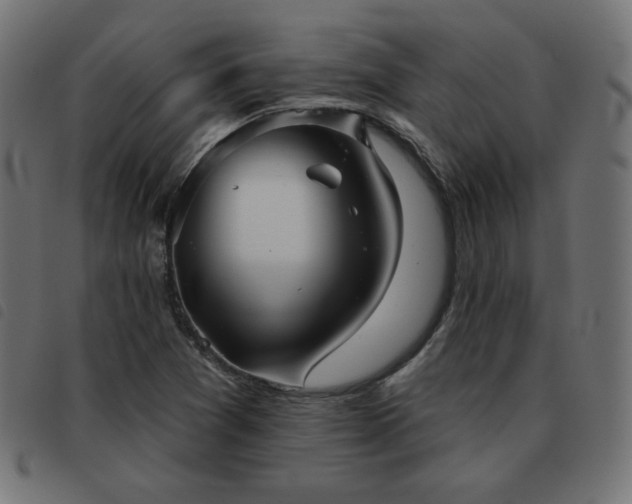 X0000093481361200710121437