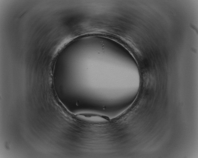 X0000093481363200710121437
