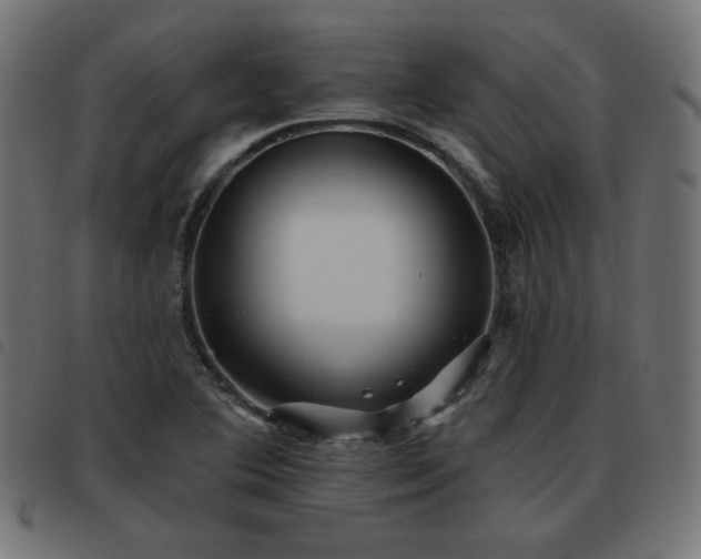 X0000093481364200710121437