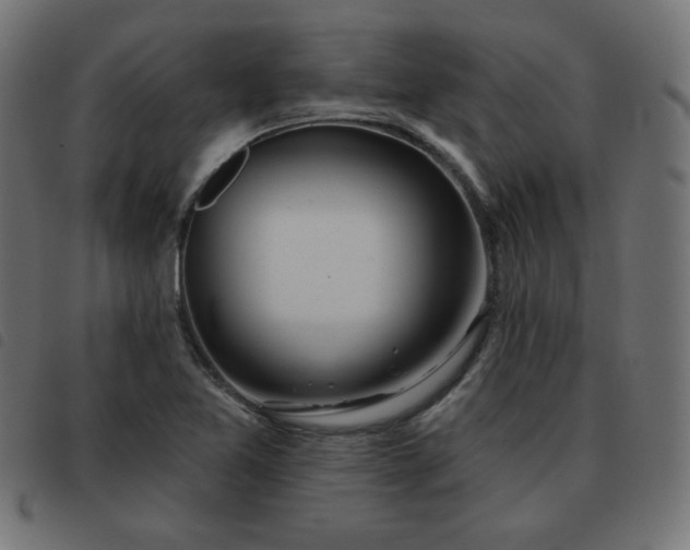 X0000093481365200710121437