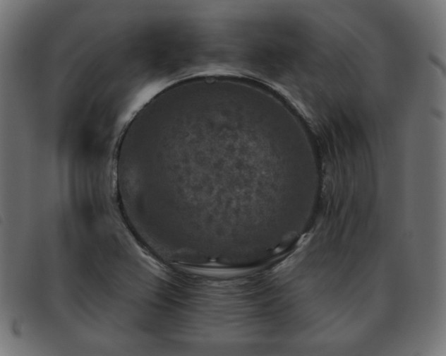 X0000093481367200710121437
