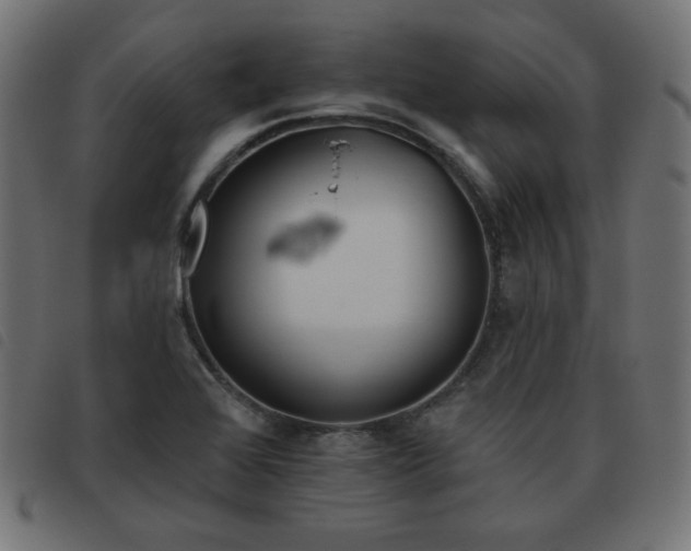 X0000093481368200710121437