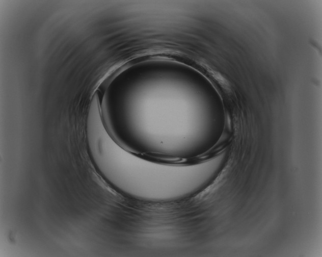 X0000093481369200710121437