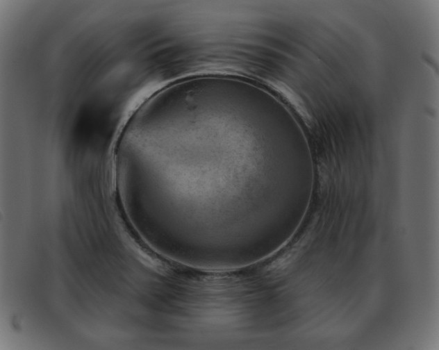 X0000093481371200710121437