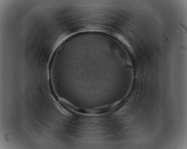 X0000093481372200710121437