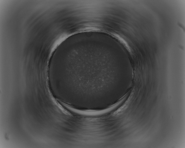 X0000093481373200710121437