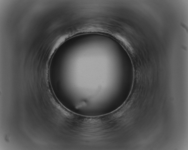 X0000093481374200710121436