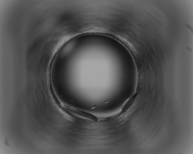 X0000093481375200710121436