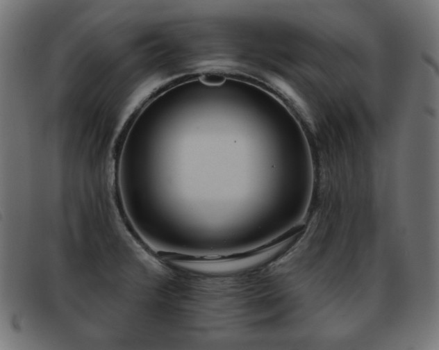 X0000093481376200710121436