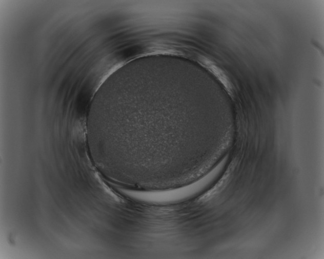 X0000093481377200710121436