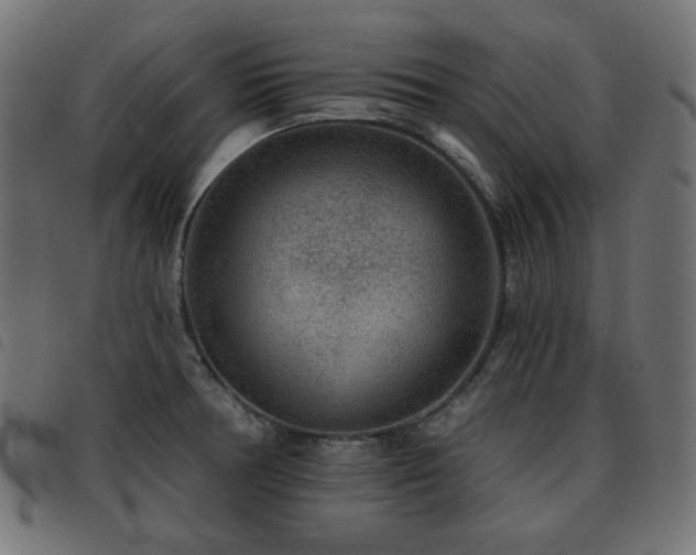 X0000093481378200710121436