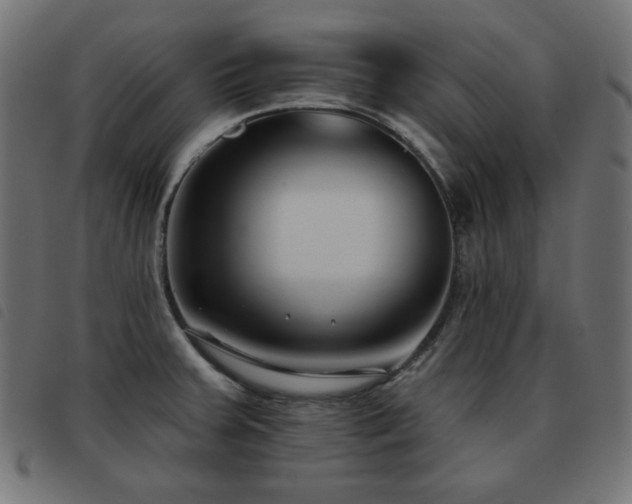 X0000093481379200710121436