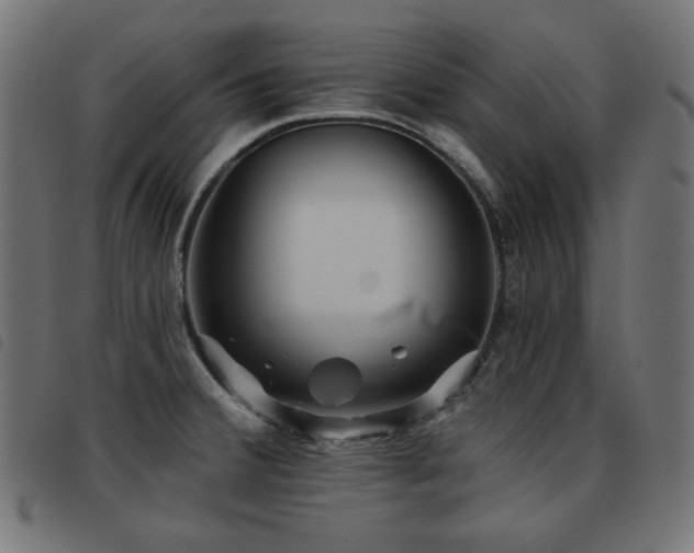 X0000093481380200710121436