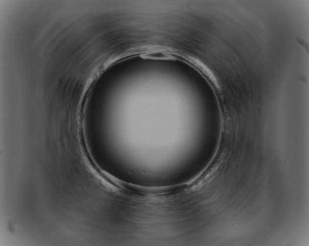 X0000093481381200710121436