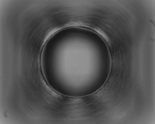 X0000093481382200710121436