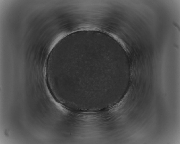 X0000093481383200710121436