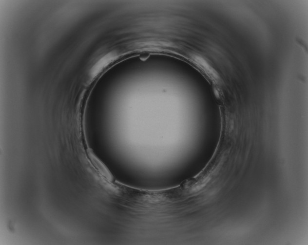 X0000093481384200710121436