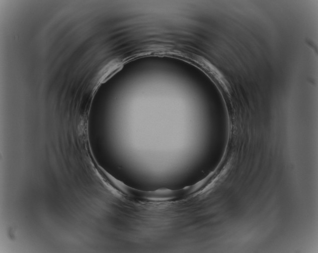 X0000093481385200710121436