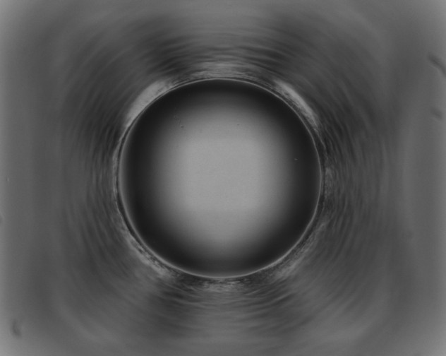 X0000093481386200710121436