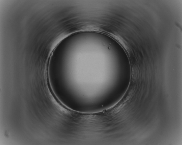 X0000093481387200710121436