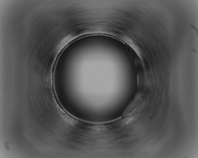 X0000093481388200710121436