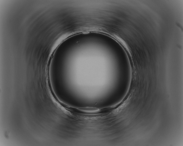 X0000093481389200710121436