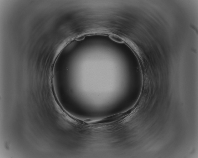 X0000093481390200710121436