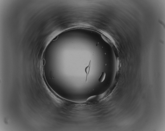 X0000093481391200710121436