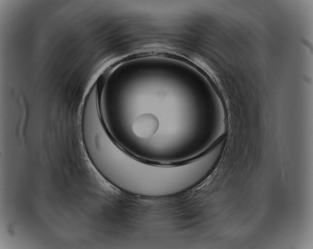 X0000093481392200710121436