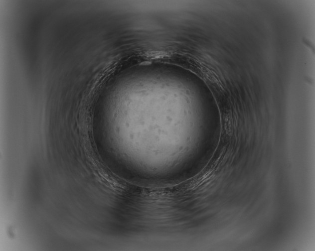 X0000093481393200710121436