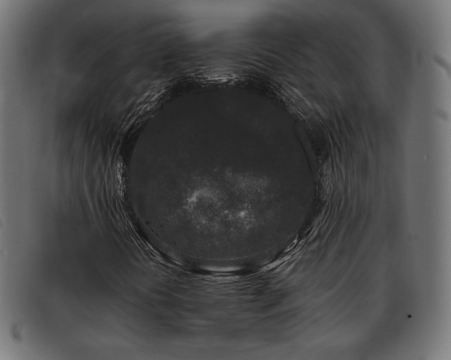 X0000093481394200710121436
