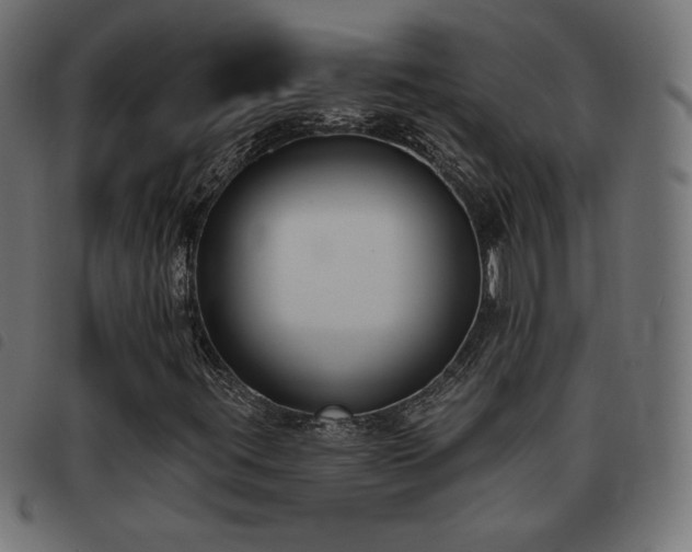 X0000093481395200710121436