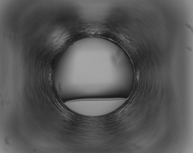 X0000093481396200710121436