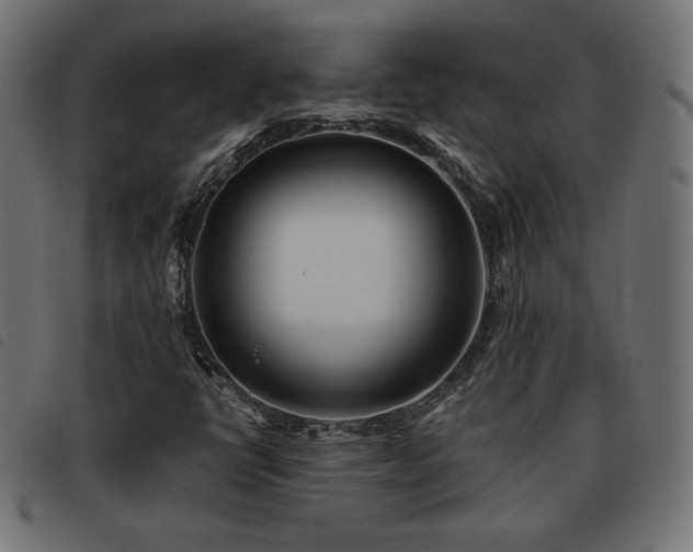 X0000093481398200710121436