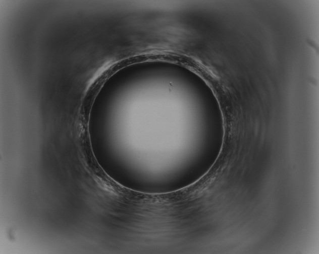 X0000093481400200710121436