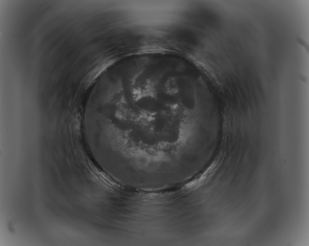 X0000093481401200710121436
