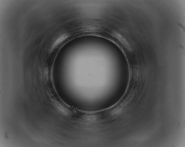 X0000093481402200710121436