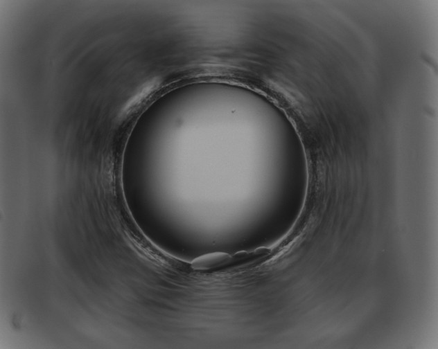 X0000093481403200710121436