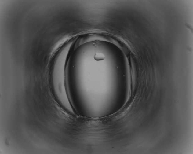 X0000093481406200710121436