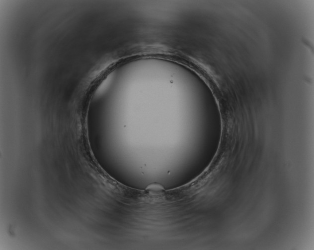X0000093481407200710121436