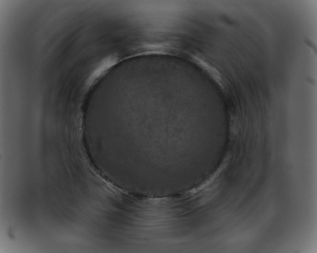 X0000093481411200710121436