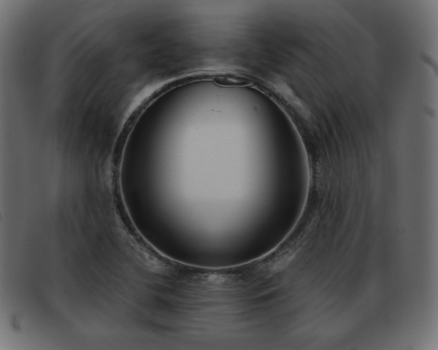 X0000093481412200710121436