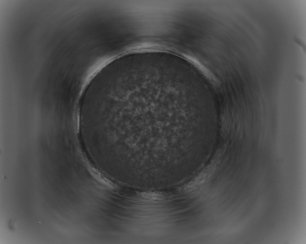 X0000093481413200710121436