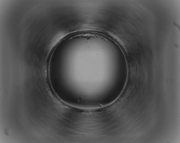 X0000093481415200710121436