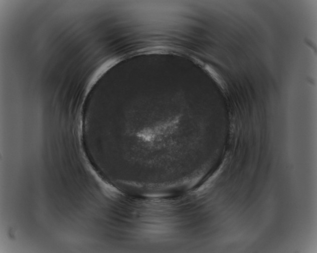 X0000093481418200710121436