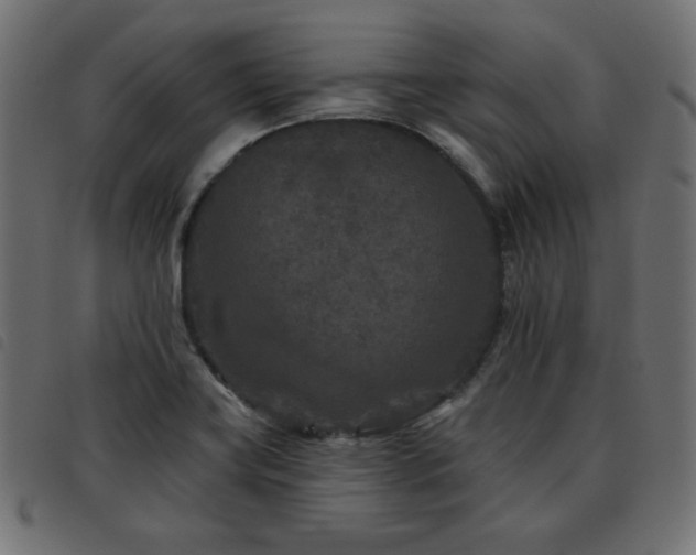 X0000093481419200710121436