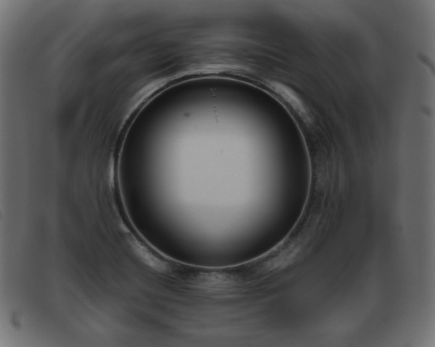 X0000093481420200710121436